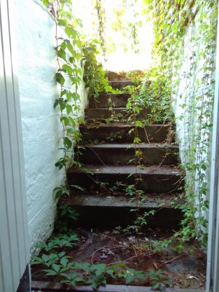 trappa etter sommeren