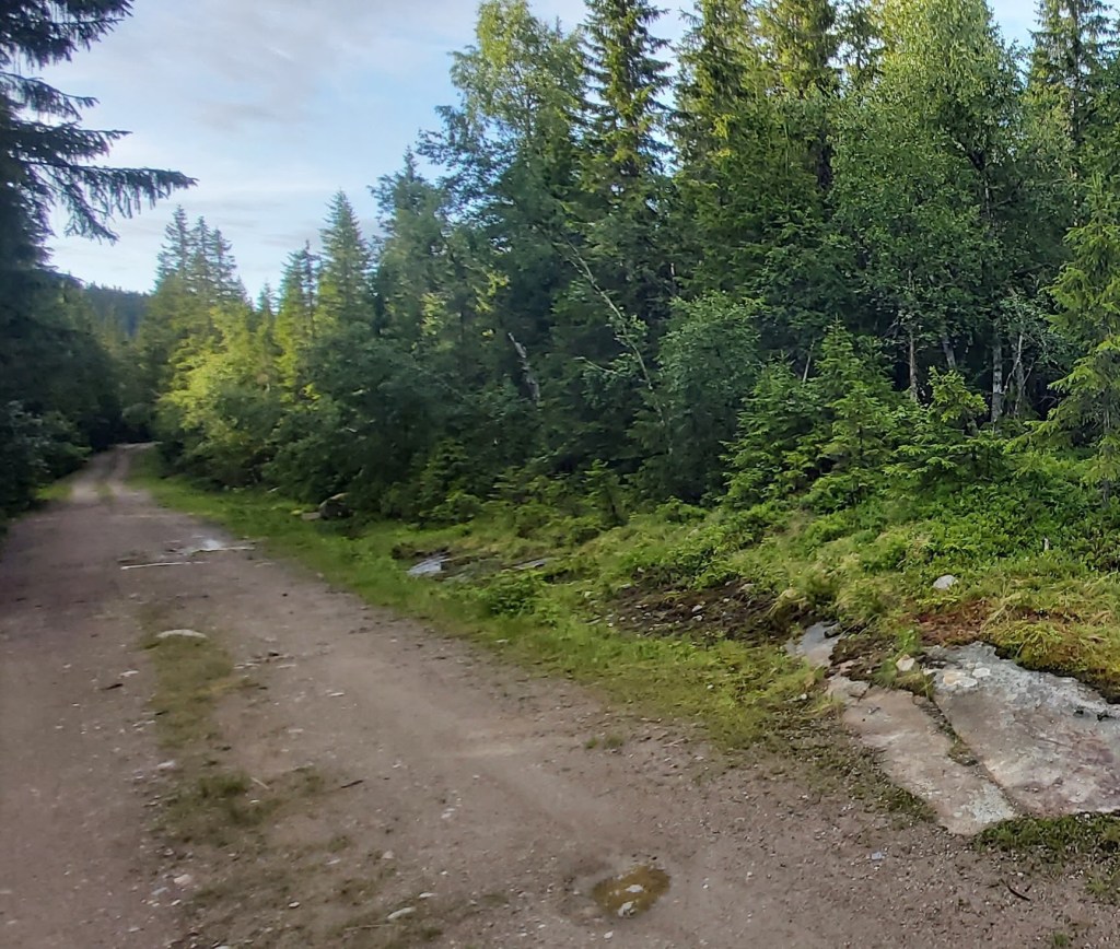 Sjimpansen og fakkeltoget for&nbsp;helheten